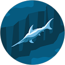 A profile picture